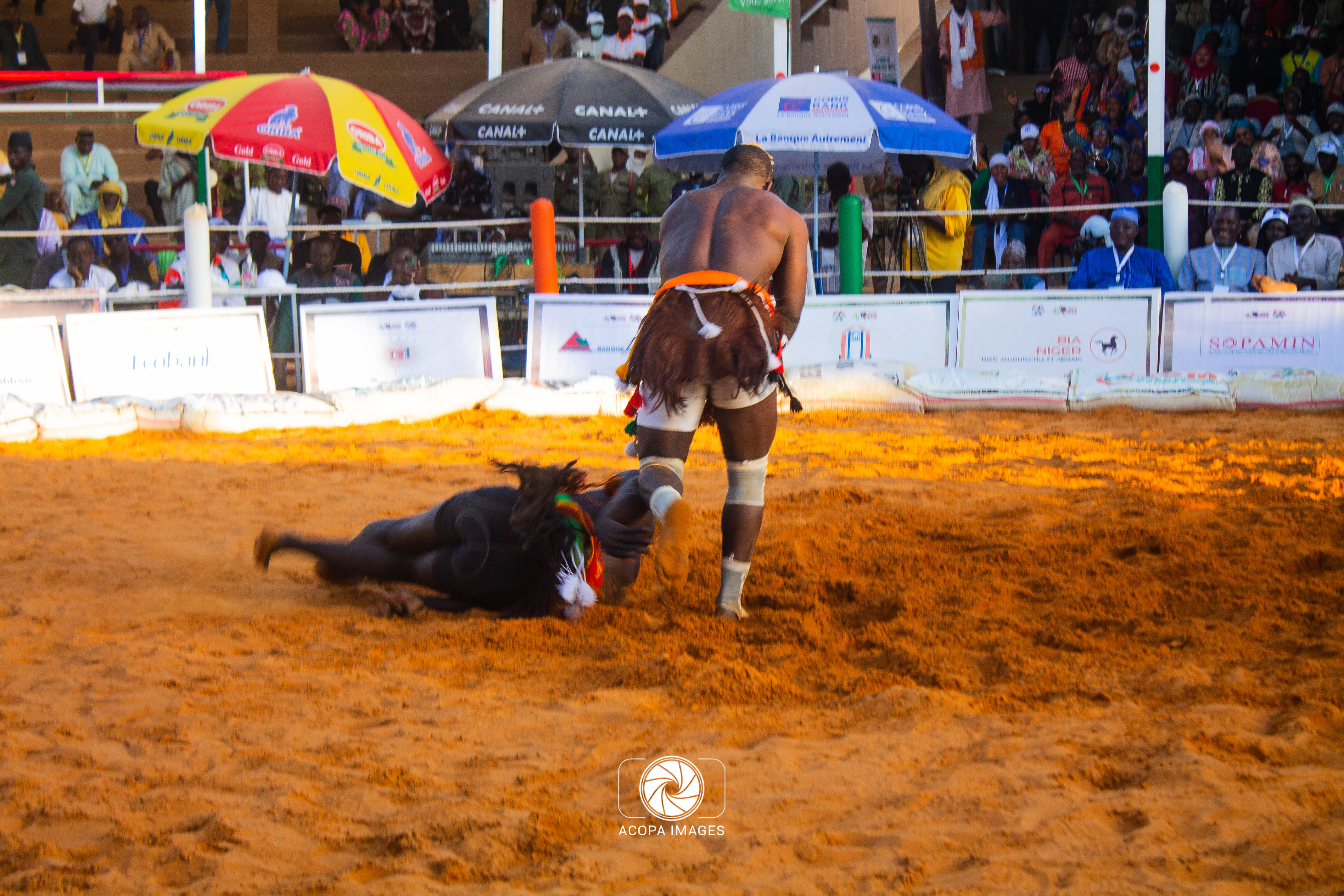 Niger/Culture/Sport/Jeunesse : La lutte traditionnelle, un facteur de cohésion sociale. ‎